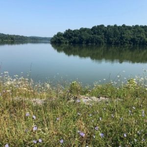 Agreement Will Lead to Restoration of Marsh Creek Lake