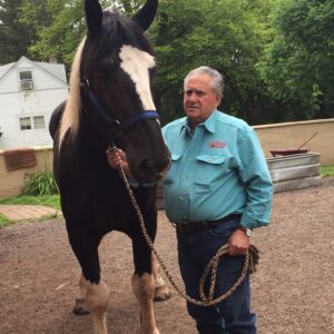 Riding Stable Offers Second Career for Former Montco D.A.