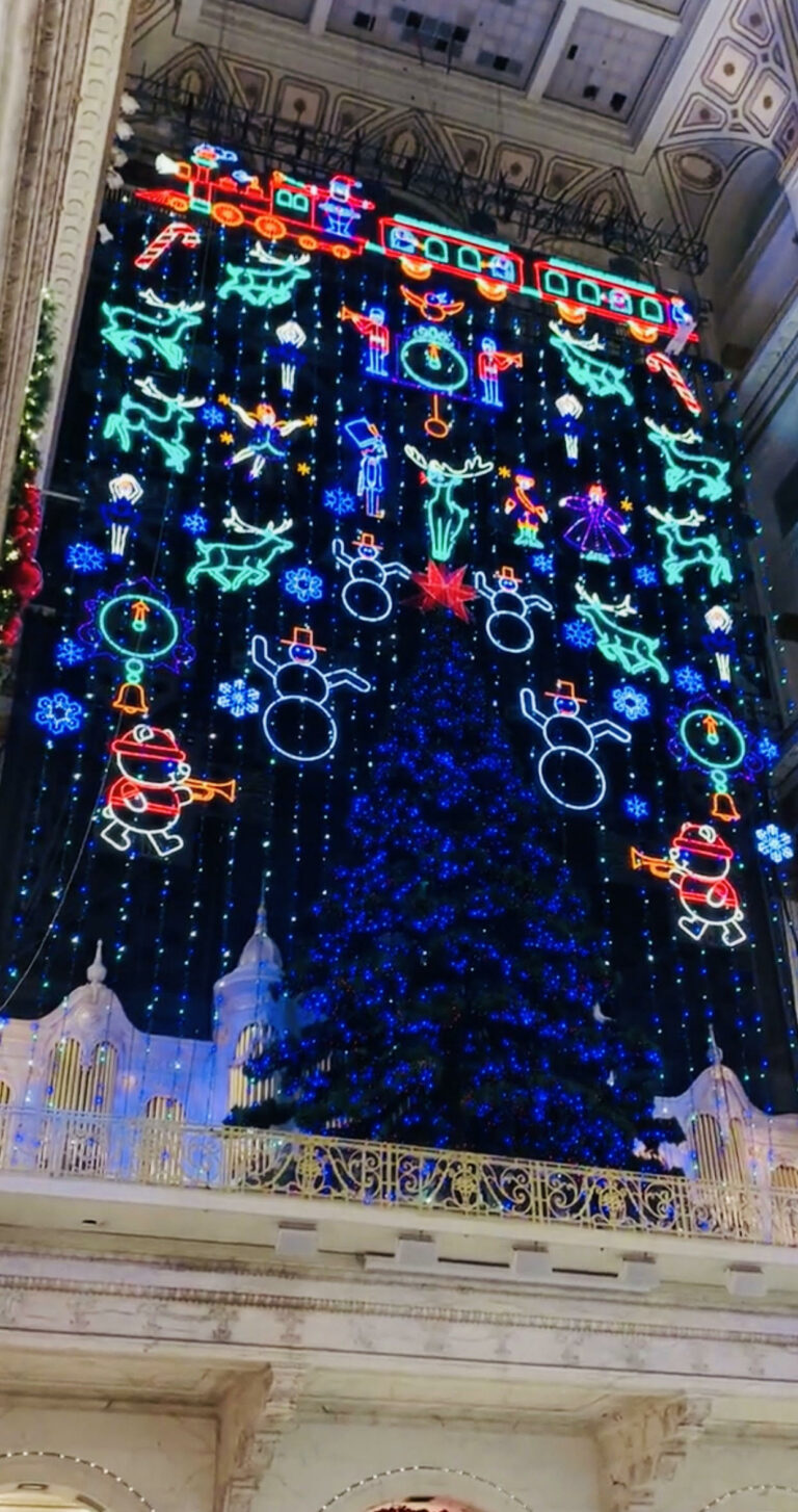 FLOWERS Christmas Light Show Brings Childhood Memories Alive DV Journal