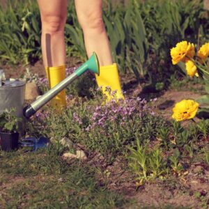 Philly Named Nation’s Fourth Best City for Naked Gardening