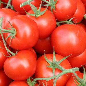 Florida’s Food Fight Over Tomatoes Could Send Your Grocery Bill Higher