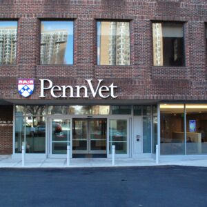 Penn Vet Tries To Mend Fences With PA Legislature Over Campus Antisemitic Incidents