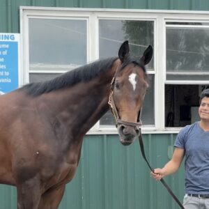 DelVal Horse to Run in Preakness Stakes, Second Leg of the Triple Crown